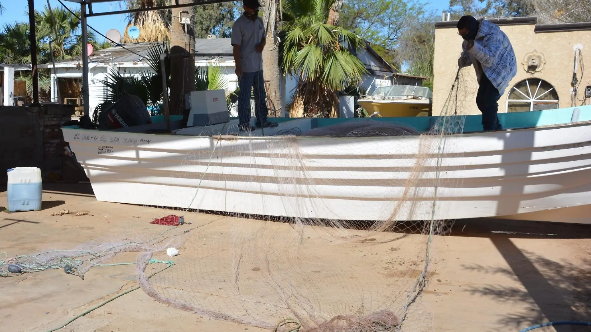 pescadores golfeños se preparan para la curvina